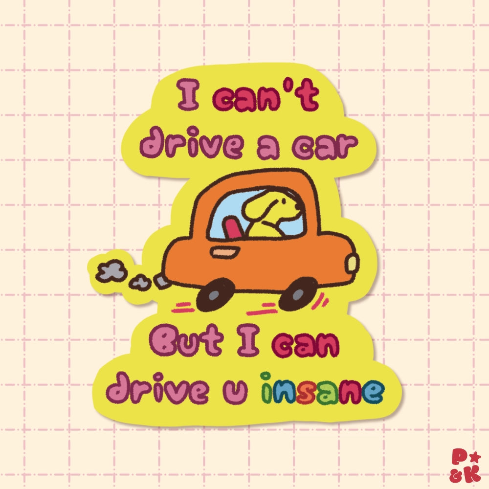 I Can't Drive A Car But I Can Drive You Insane — Sticker